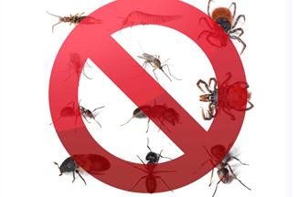 Pest Control